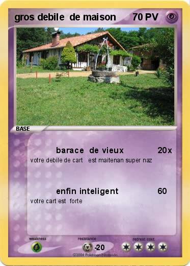 Pokemon gros debile  de maison