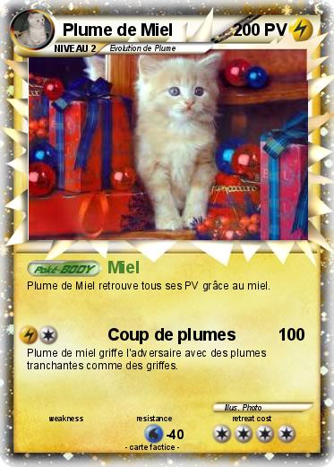 Pokemon Plume de Miel