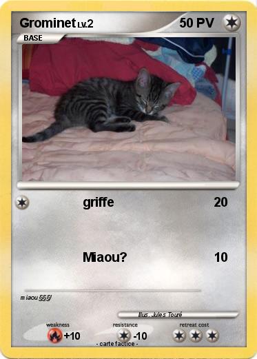 Pokemon Grominet