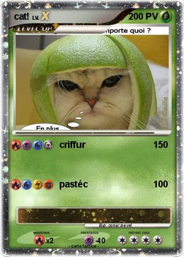 Pokemon cat!