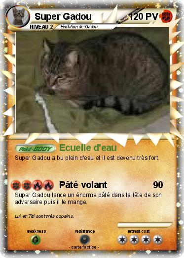 Pokemon Super Gadou