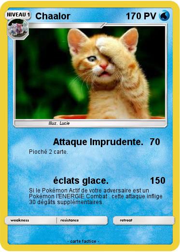 Pokemon Chaalor