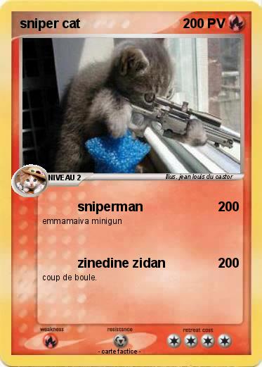Pokemon sniper cat