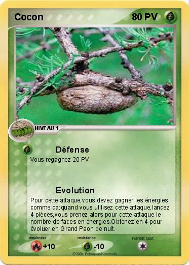 Pokemon Cocon