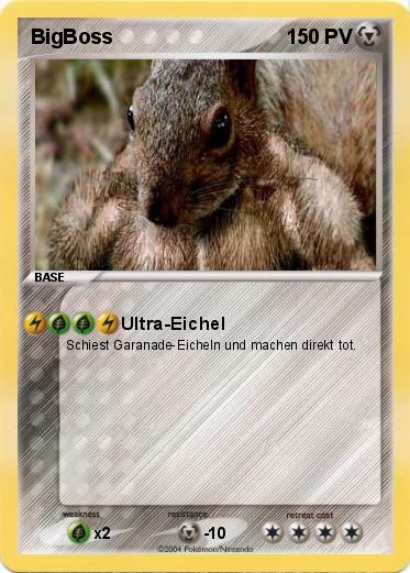 Pokemon BigBoss