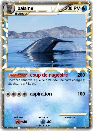 Pokemon balaine