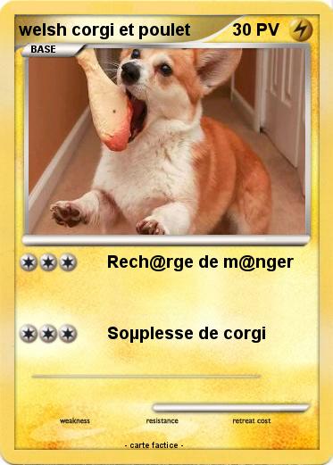 Pokemon welsh corgi et poulet