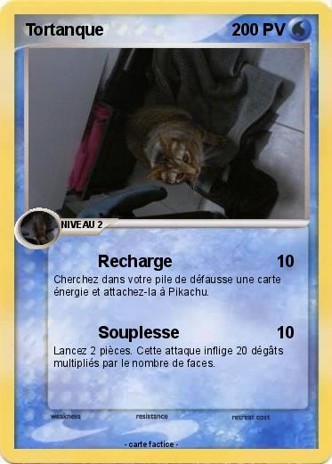 Pokemon Tortanque