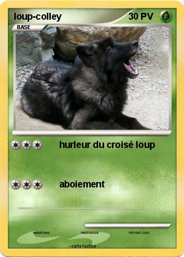 Pokemon loup-colley