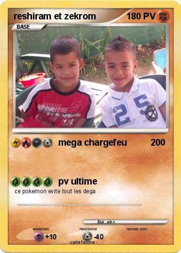 Pokemon reshiram et zekrom