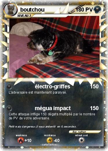 Pokemon boutchou