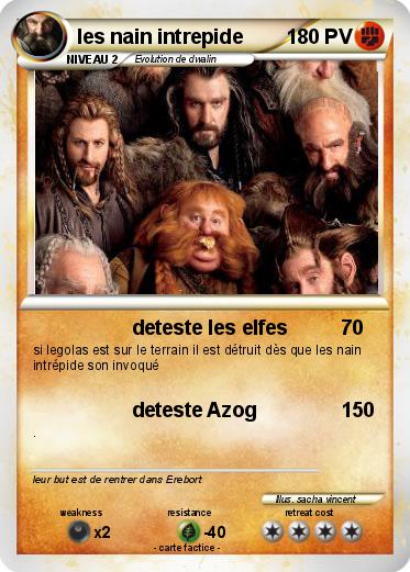 Pokemon les nain intrepide