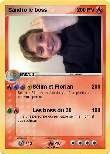 Pokemon Sandro le boss