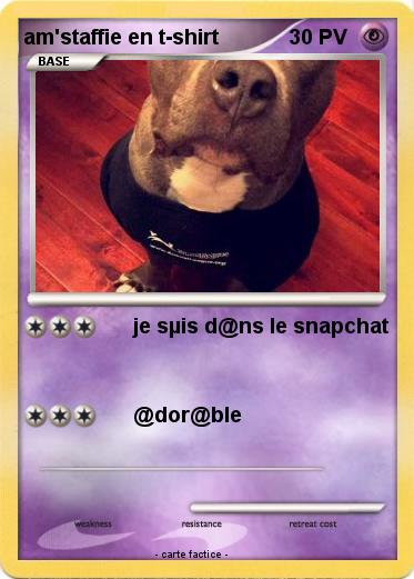 Pokemon am'staffie en t-shirt