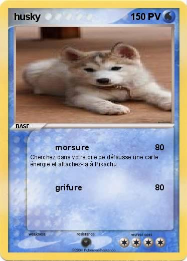 Pokemon husky