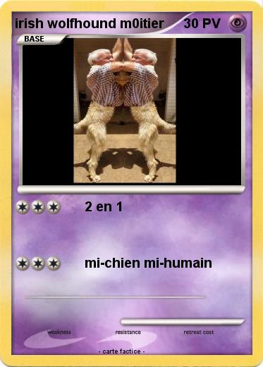 Pokemon irish wolfhound m0itier