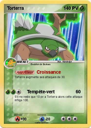 Pokemon Torterra