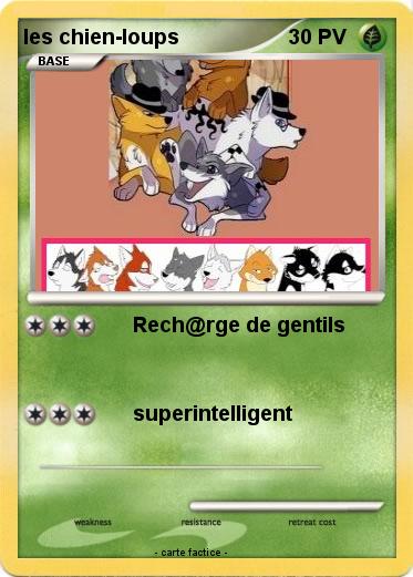 Pokemon les chien-loups
