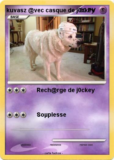 Pokemon kuvasz @vec casque de j0ckey