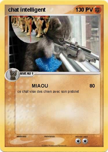 Pokemon chat intelligent