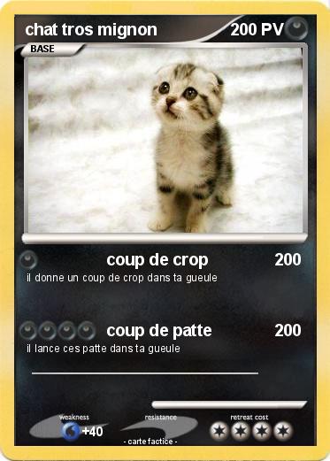 Pokemon chat tros mignon