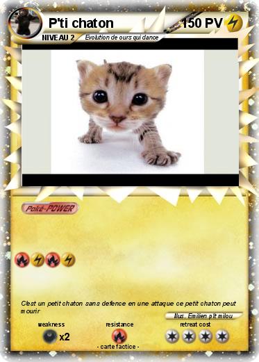 Pokemon P'ti chaton