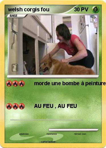 Pokemon welsh corgis fou