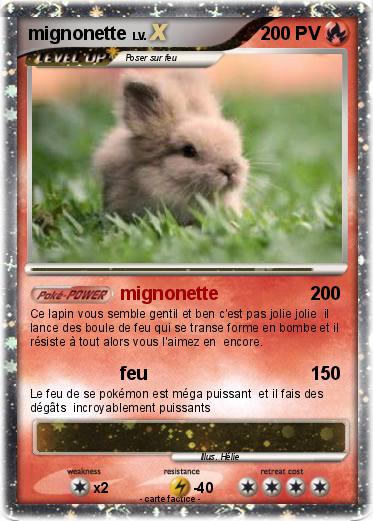 Pokemon mignonette