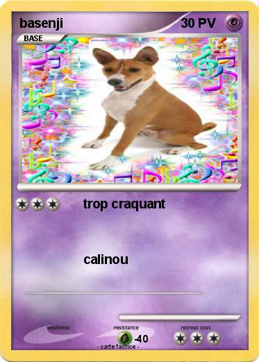 Pokemon basenji