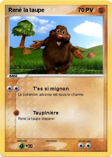 Pokemon René la taupe