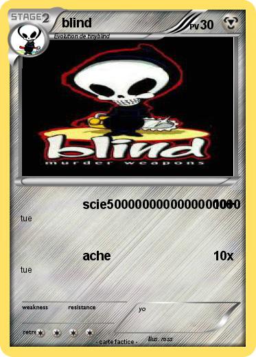 Pokemon blind