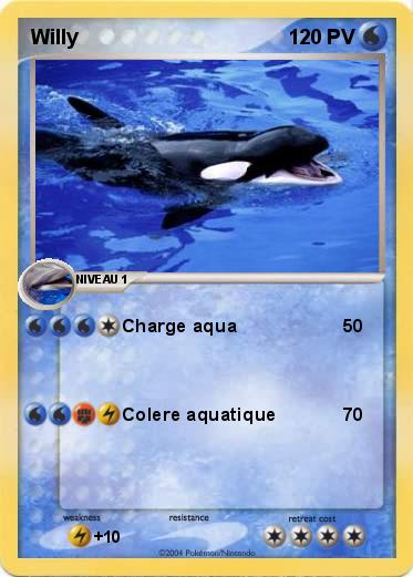 Pokemon Willy