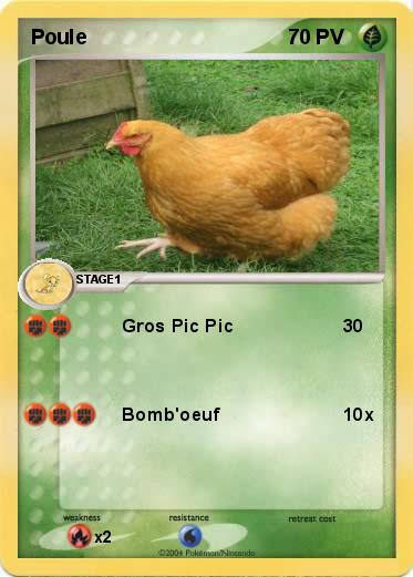 Pokemon Poule
