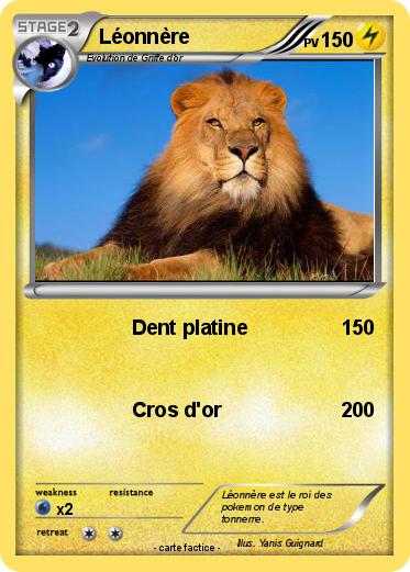 Pokemon Léonnère