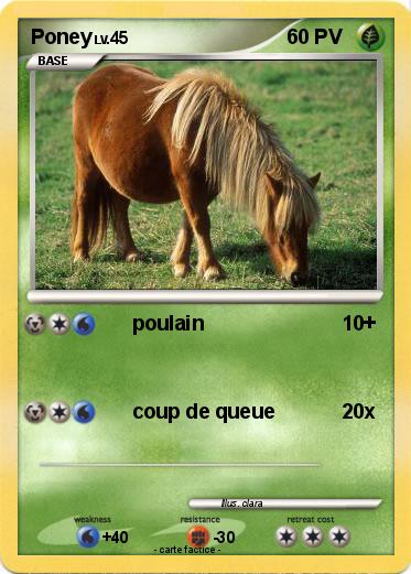 Pokemon Poney