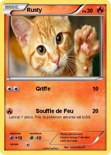 Pokemon Rusty