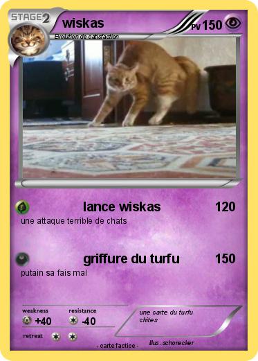 Pokemon wiskas