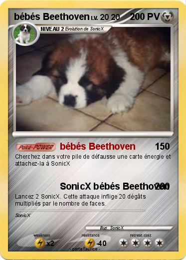Pokemon bébés Beethoven