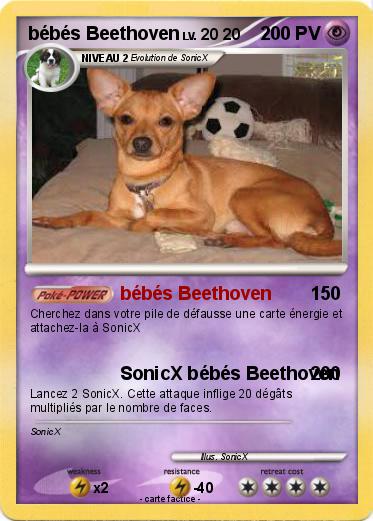 Pokemon bébés Beethoven