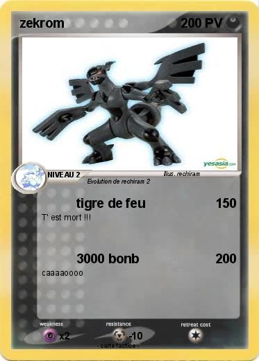 Pokemon zekrom