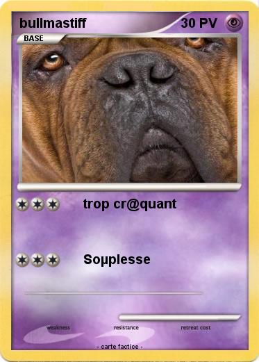 Pokemon bullmastiff