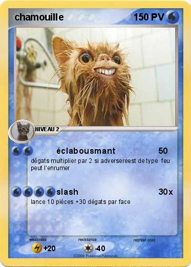 Pokemon chamouille