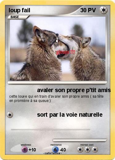 Pokemon loup fail