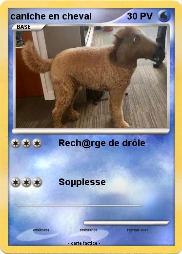 Pokemon caniche en cheval