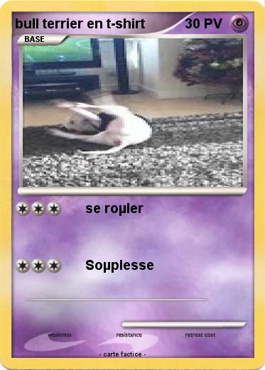 Pokemon bull terrier en t-shirt