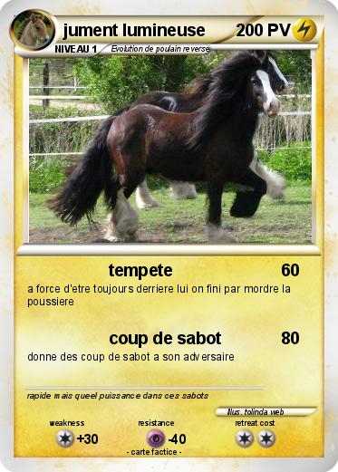 Pokemon jument lumineuse