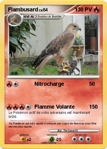 Pokemon Flambusard