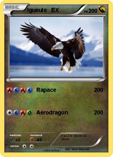 Pokemon Igueule   EX