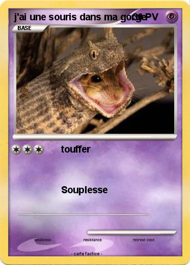 Pokemon j'ai une souris dans ma gorge