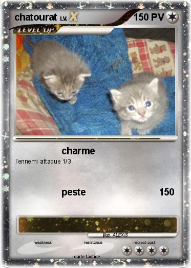 Pokemon chatourat